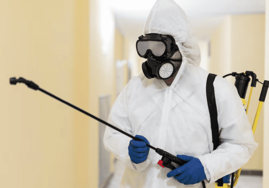 Dedetização em Condomínios: Qual a Frequência Ideal para Garantir um Ambiente Seguro 3 Dedetização em Condomínios